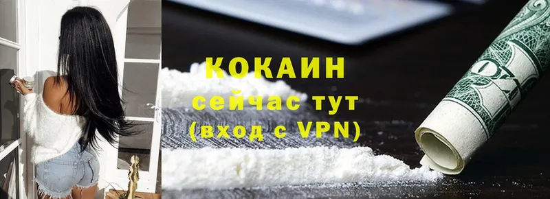 Cocaine Перу  Боровичи 